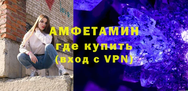 индика Бородино
