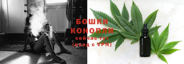 крисы Верея