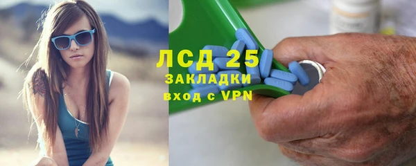 крисы Верея