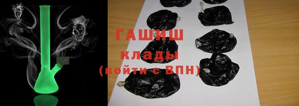 индика Бородино