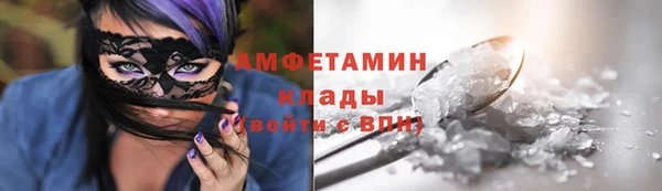 индика Бородино