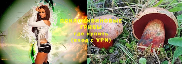 крисы Верея