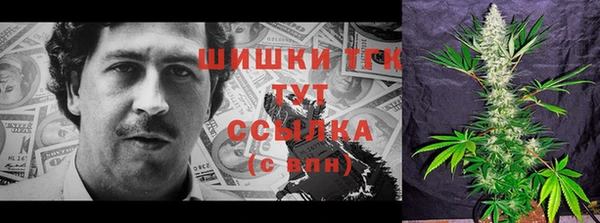 молекула духа Верхний Тагил