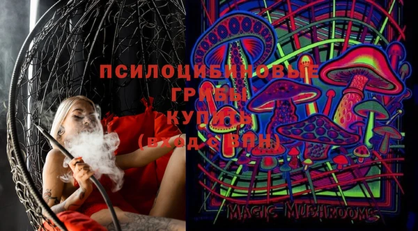 молекула духа Верхний Тагил