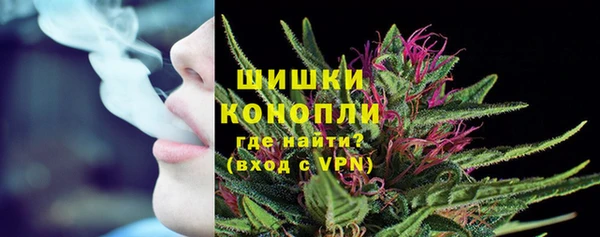 индика Бородино